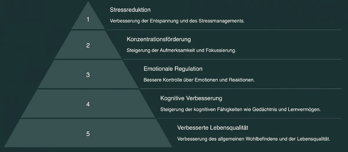 Wie kann Biofeedback helfen – Anwendung des Biofeedback-Systems bei der Wellness Trust AG